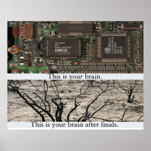 Das ist dein Gehirn. Poster