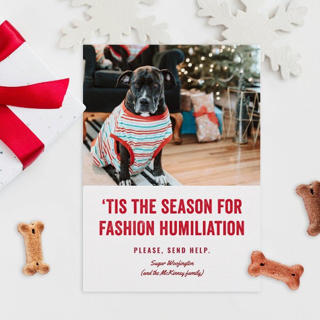 Das ist die Jahreszeit für das Weihnachten der Ern (funny humor Christmas holiday photo cards for pets in ugly sweaters or costumes fashion)