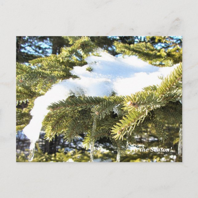 'Das ist die Jahreszeit nach Norden, Winterurlaub  Postkarte (Vorderseite)