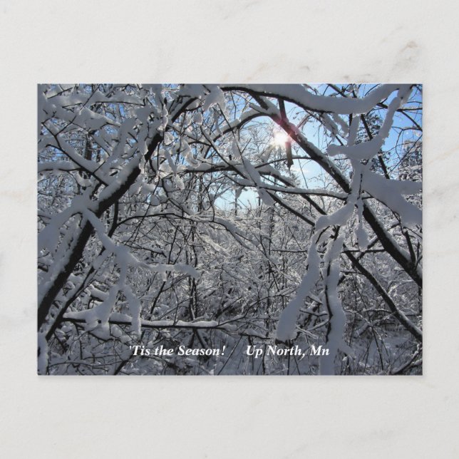 'Das ist die Jahreszeit nach Norden, Winterurlaub  Postkarte (Vorderseite)