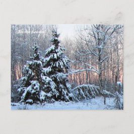 'Das ist die Jahreszeit nach Norden, Winterurlaub Postkarte