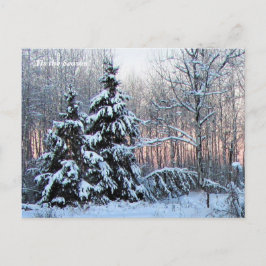 'Das ist die Jahreszeit nach Norden, Winterurlaub  Postkarte