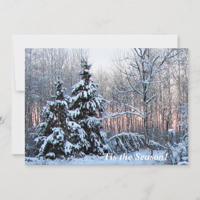 'Das ist die Saison Up North Mn! Rosy Sunset (Vorderseite)