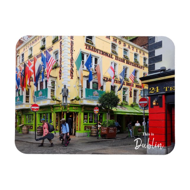 Das ist Dublin-Irland Magnet (Horizontal)