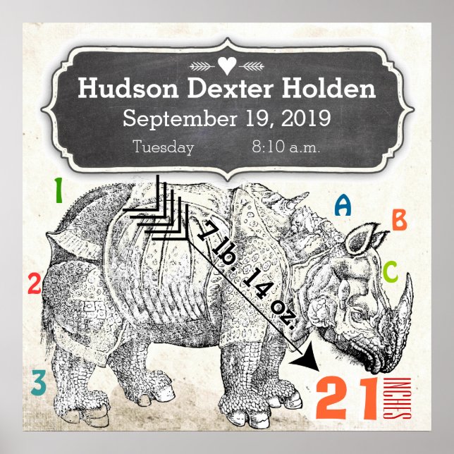 Das ist ein Junge! New Baby Rhinoceros Poster (Vorne)