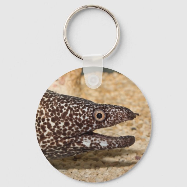 Das ist ein Moray! Schlüsselanhänger (Vorderseite)