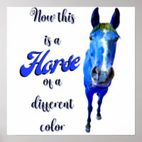 Das ist ein Pferd mit einer anderen Farbe in Blau