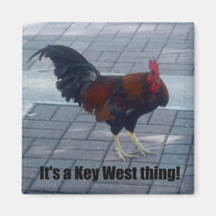 Das ist eine Key West Sache! Magnet