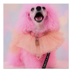 Das ist heiß, das ist rosa Retro Kawaii Pudel Post Poster