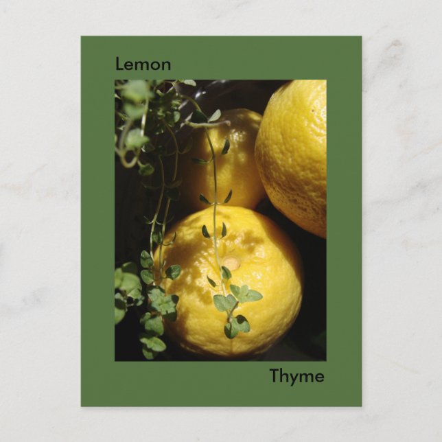 Das ist Lemon Thyme. Postkarte (Vorderseite)