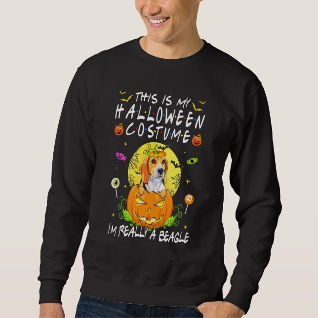 Das ist mein Halloween-Kostüm, ich bin eigentlich  Sweatshirt (Vorderseite)