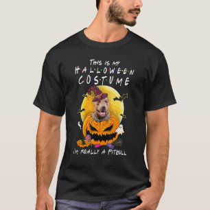 Das ist mein Halloween-Kostüm, ich bin eigentlich T-Shirt