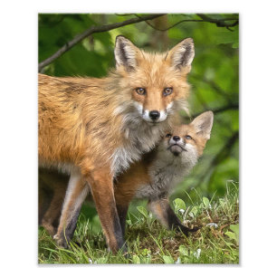 Das ist mein Vater Fotodruck