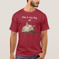 Das ist meine Katze am freien Tag