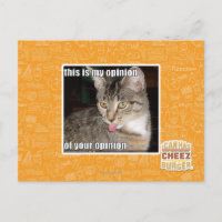 Das ist meine Meinung