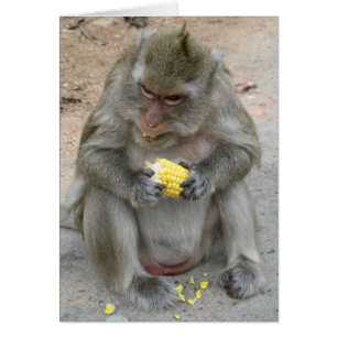 Das ist meins! ... Wild Thai Macaque Monkey Card
