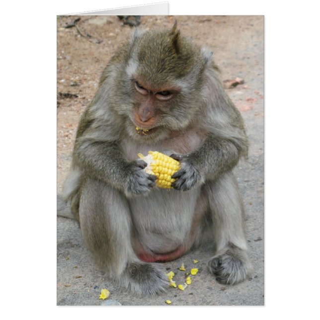 Das ist meins! ... Wild Thai Macaque Monkey Card (Vorne)