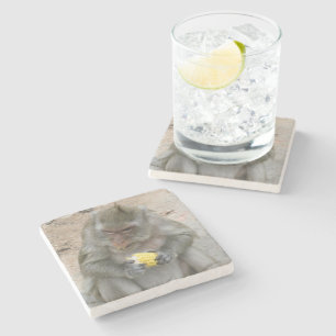 Das ist meins! ... Wild Thai Macaque Monkey Steinuntersetzer