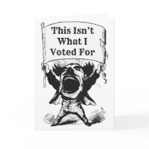 Das ist nicht das, wofür ich gestimmt habe