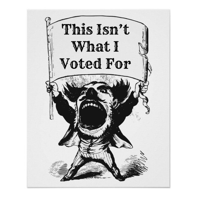 Das ist nicht das, wofür ich gestimmt habe poster (Vorderseite)