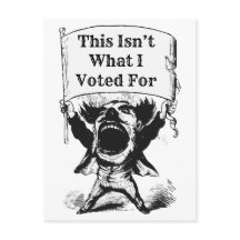 Das ist nicht das, wofür ich gestimmt habe