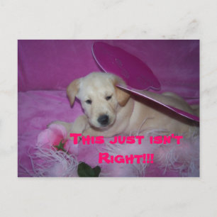 das ist so demütigend, Das ist einfach nicht richt Postkarte