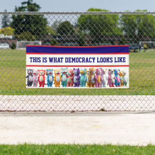 Das ist, was Demokratie aussieht Protest Banner