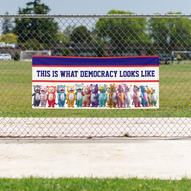 Das ist, was Demokratie aussieht Protest Banner (Insitu)