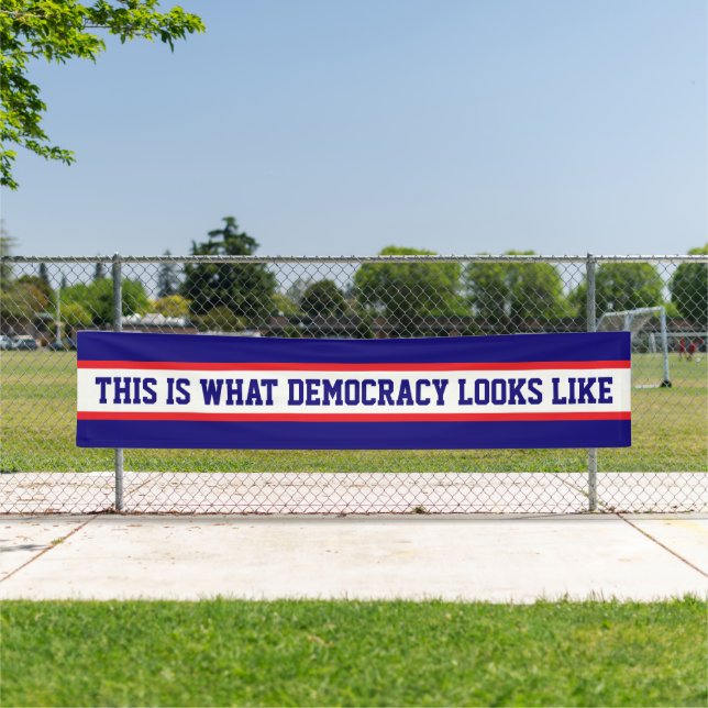Das ist, was Demokratie aussieht Protest Banner (Insitu)
