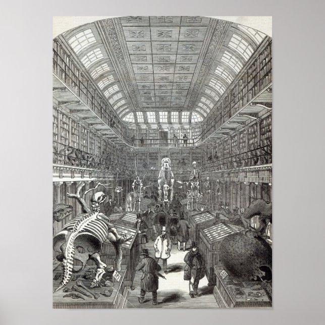 Das Jägermuseum Poster (Vorne)