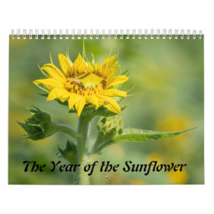 Das Jahr der Sonnenblume Kalender