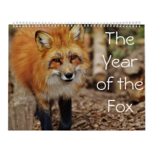 Das Jahr des Fox-Kalenders Kalender