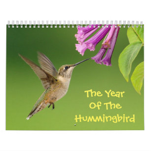 Das Jahr des Hummingvogelkalenders Kalender