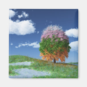 Das Jahresmagnet Magnet