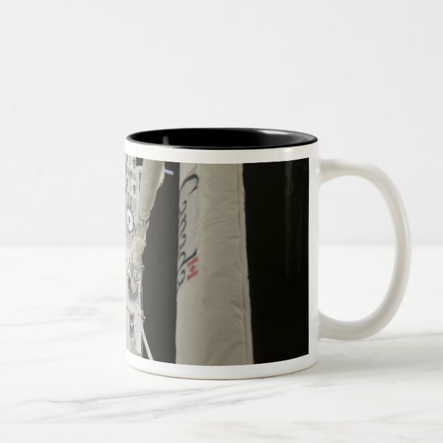 Das japanische Versuchsmodul exponierte Anlage 2 Zweifarbige Tasse (Rechts)