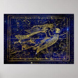 das Jungfrau-Sternbild-Poster Poster