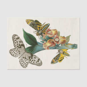 Das Kabinett der orientalischen Entomologie Pl XLI Seidenpapier