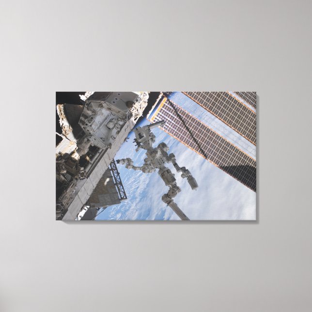 Das kanadische Dextre-Robotersystem 2 Leinwanddruck (Vorderseite)