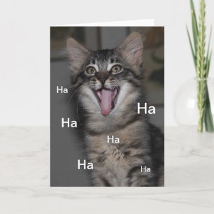 Das Kaspische Kitten Hospital wird bald gut erkund Karte