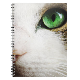 Das Katzenauge Notizblock