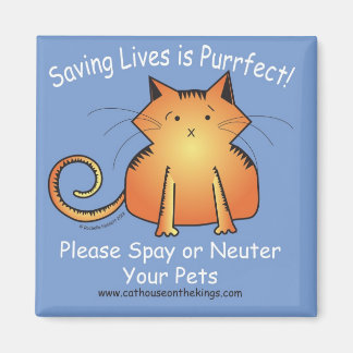 Das Katzenhaus auf der Spay und dem Neuter der Kön Magnet