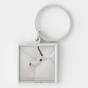 Das Katzenspringen Schlüsselanhänger