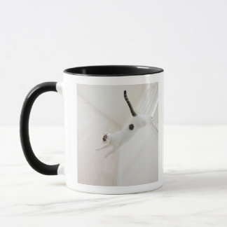 Das Katzenspringen Tasse