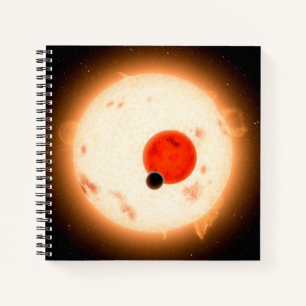Das Kepler-16 System. Notizbuch
