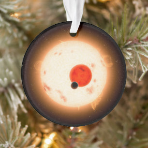 Das Kepler-16 System. Ornament
