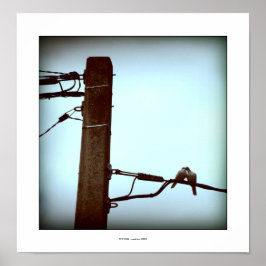 Das KISS-Poster Poster