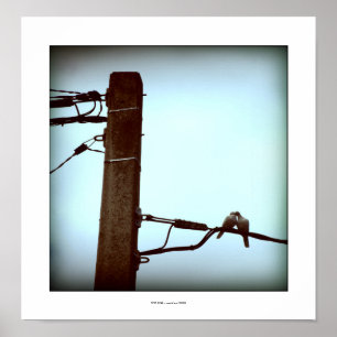 Das KISS-Poster Poster