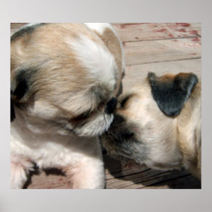 Das Kiss-Poster Poster