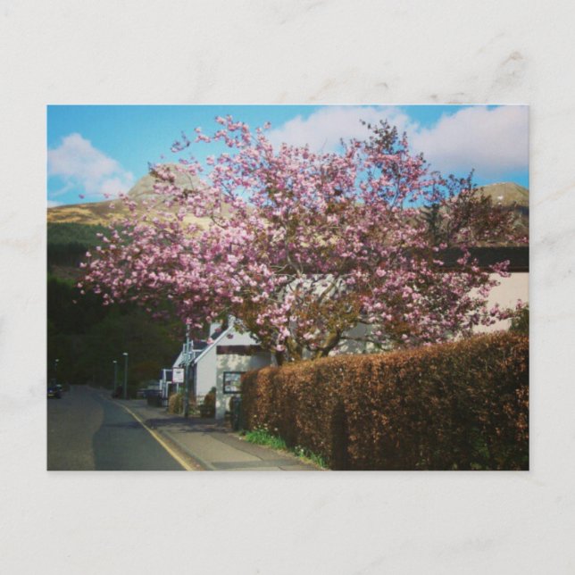 Das kleine Dorf Glencoe, Schottland Postkarte (Vorderseite)