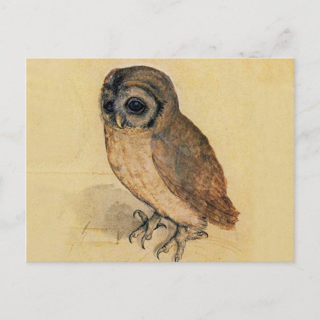 Das kleine Owl Albrecht Dürer Postkarte (Vorderseite)